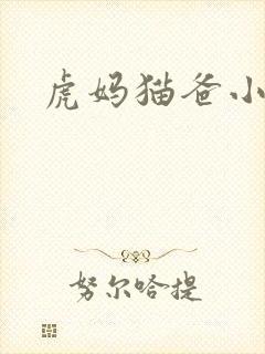 虎妈猫爸小说