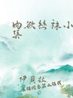 肉欲丝袜小说合集