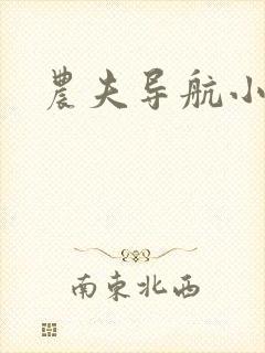 农夫导航小说