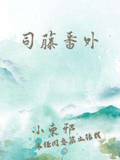 司藤番外