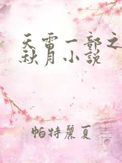 天雷一部之春花秋月小说