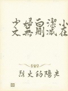 少妇白洁小说全文无删减在线阅读