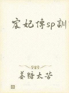 宸妃传sp训诫