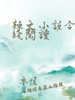 辣文小说合集在线阅读