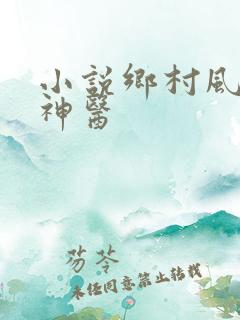 小说乡村风流小神医