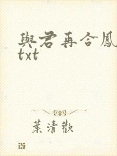 与君再合凤求凰txt