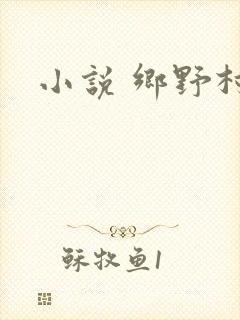 小说 乡野村医