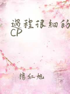 过程很细的开车CP