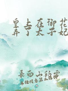皇上在御花园c弄了太子妃