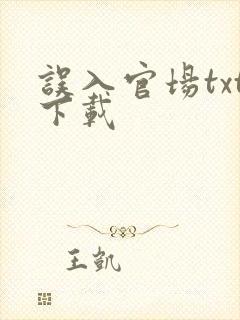 误入官场txt下载