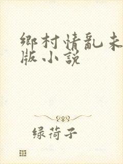 乡村情乱未删减版小说