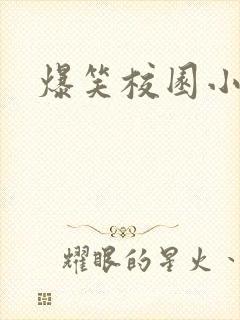 爆笑校园小说