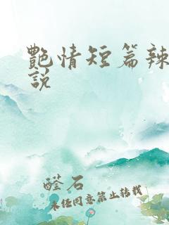 艳情短篇辣文小说