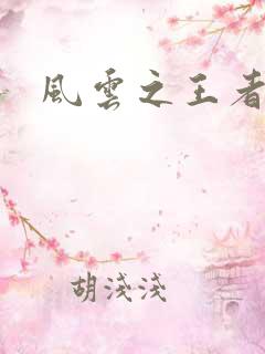 风云之王者人生