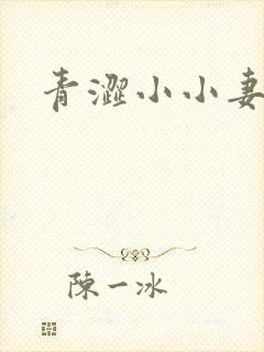 青涩小小妻