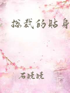 总裁的贴身玩宠