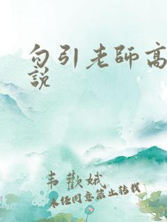 勾引老师高h小说