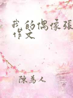 我的偶像张桂梅作文