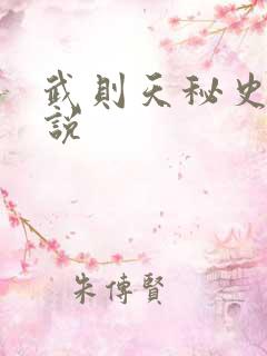 武则天秘史 小说