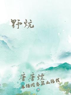 野炕
