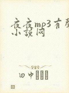 夜夜mp3有声小说网