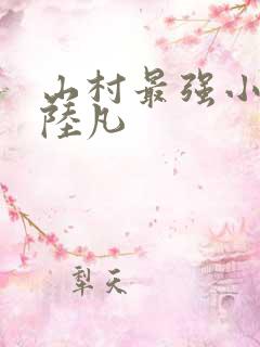 山村最强小神医陆凡