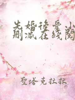 先婚后爱小说无删减在线阅读