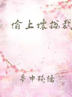 偷上坏总裁