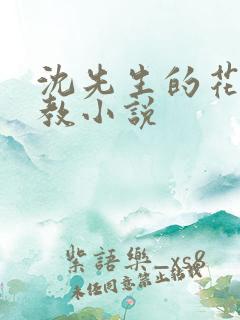 沈先生的花式调教小说