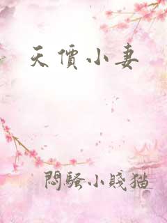 天价小妻