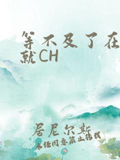 等不及了在车里就CH