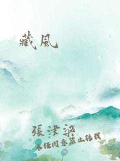 藏风