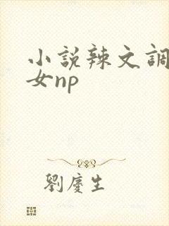 小说辣文调教继女np
