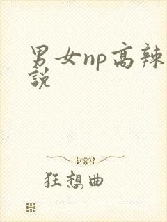 男女np高辣小说