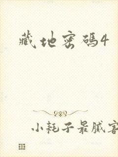 藏地密码4