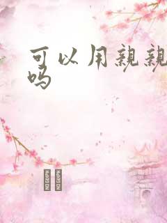 可以用亲亲赊账吗