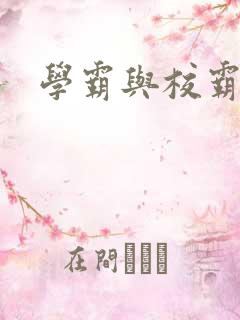 学霸与校霸