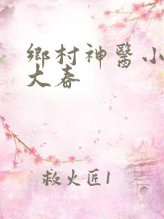 乡村神医小说王大春