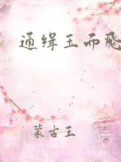 通缉玉面飞狐