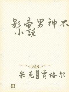 影帝男神不节制 小说