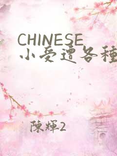 CHINESE小受遭各种打桩