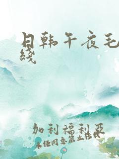 日韩午夜毛片在线