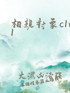 相亲对象c1v1
