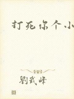 打死你个小搔b