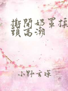 撕开奶罩揉吮奶头高潮