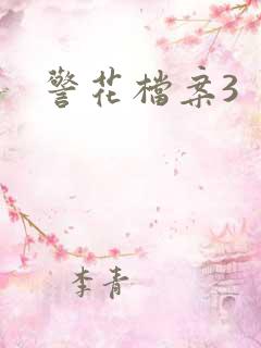 警花档案3