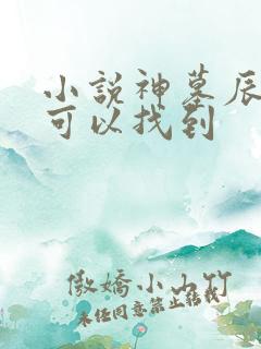 小说神墓辰东哪可以找到