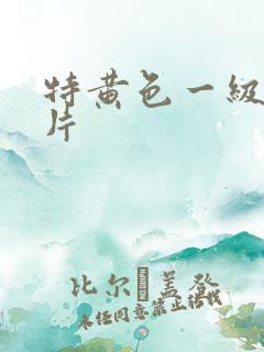 特黄色一级少妇片