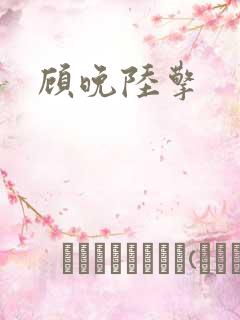 顾晚陆擎