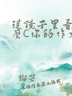 从镜子里看我怎么C你的作文
